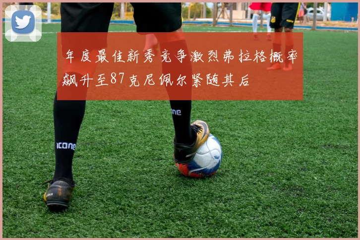 年度最佳新秀竞争激烈弗拉格概率飙升至87克尼佩尔紧随其后