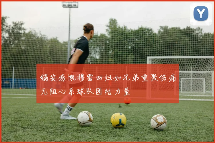 锡安感慨穆雷回归如兄弟重聚伤痛无阻心系球队团结力量