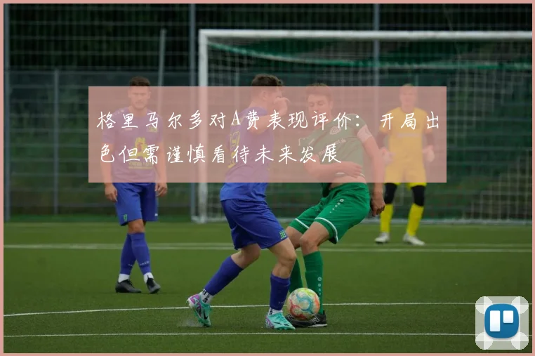 格里马尔多对A费表现评价：开局出色但需谨慎看待未来发展