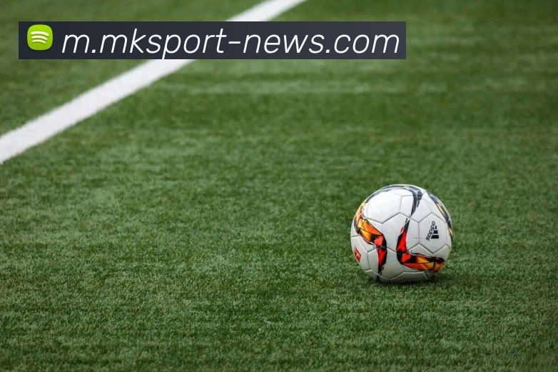 博雷戈解析小卡成长历程强调努力与马刺环境的重要性